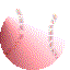 another ball, buddy.